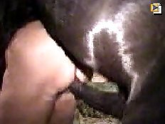 Young girl in animal sex action